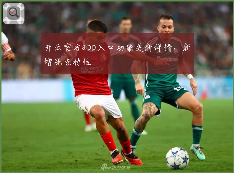 开云官方app入口功能更新详情，新增亮点特性
