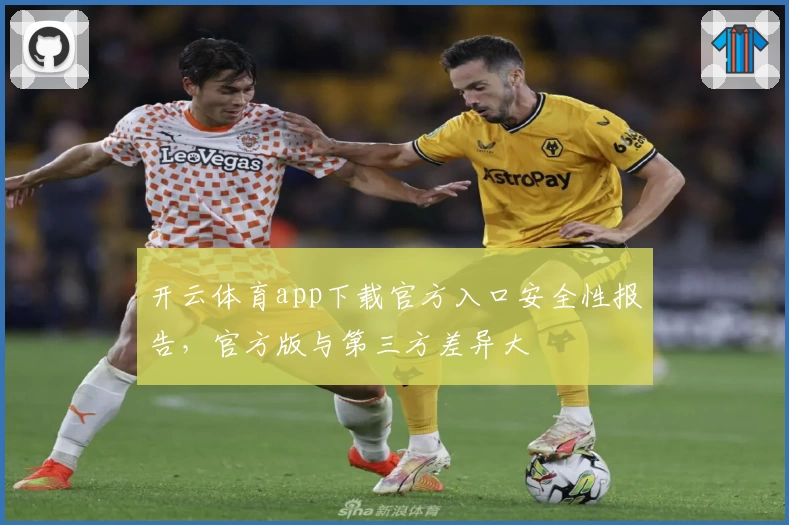 开云体育app下载官方入口安全性报告，官方版与第三方差异大